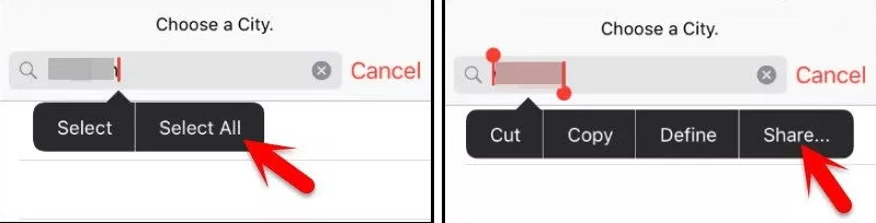 tap on share option